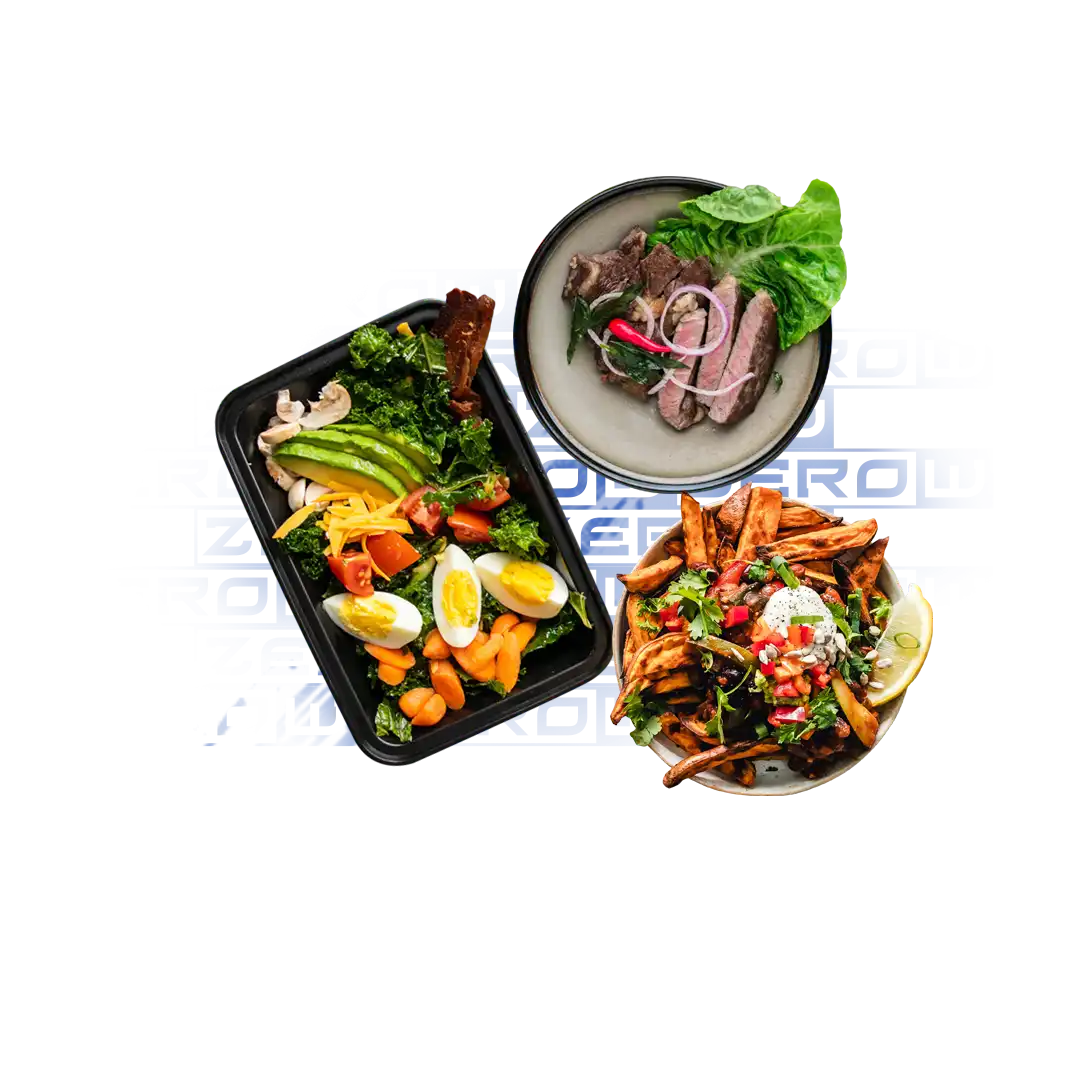 Online nutrition coaching — plated meals showing balanced macros